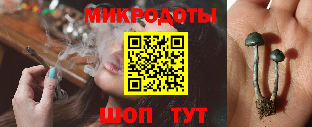 Псилоцибиновые грибы GOLDEN TEACHER Тверь