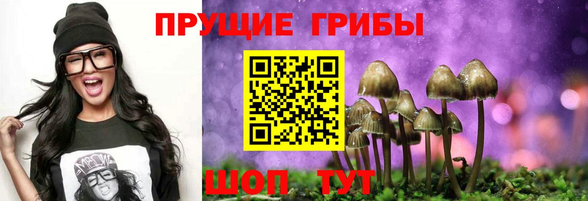 Тверь  Псилоцибиновые грибы GOLDEN TEACHER  Вход с VPN 
