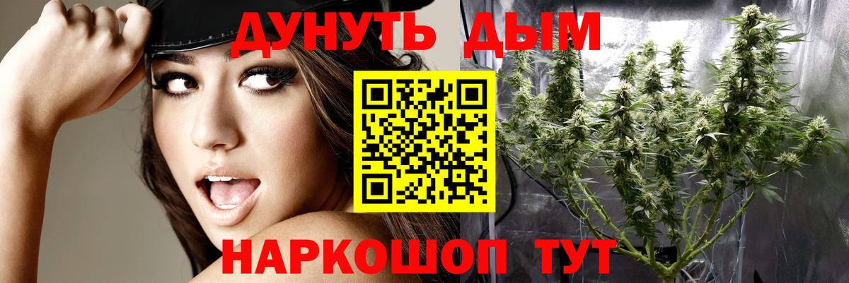 Конопля конопля Тверь